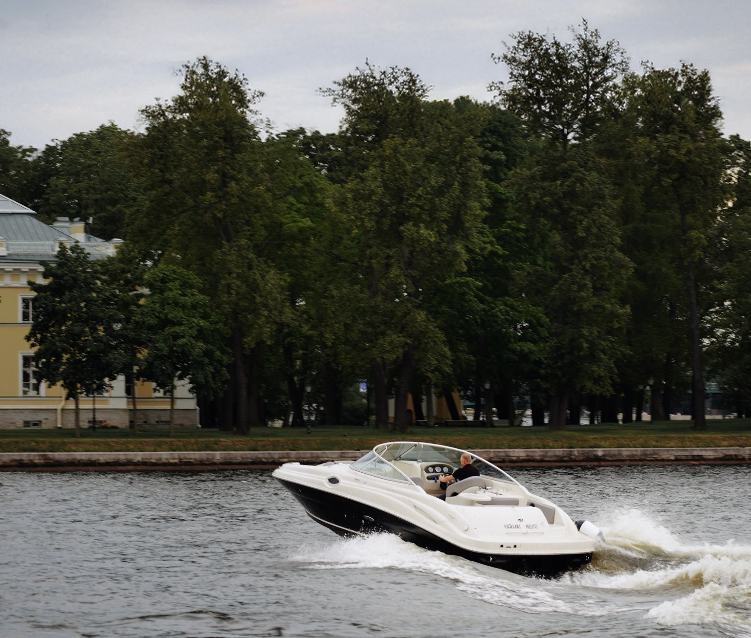SEARAY 270 «Светлана» 6
